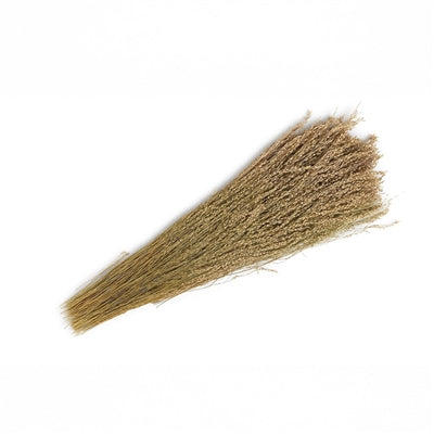 NATURAL LONG DRIED EVERLASTING PLANTS BUNCH