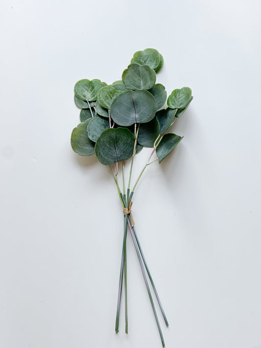 EUCALYPTUS BUNDLE