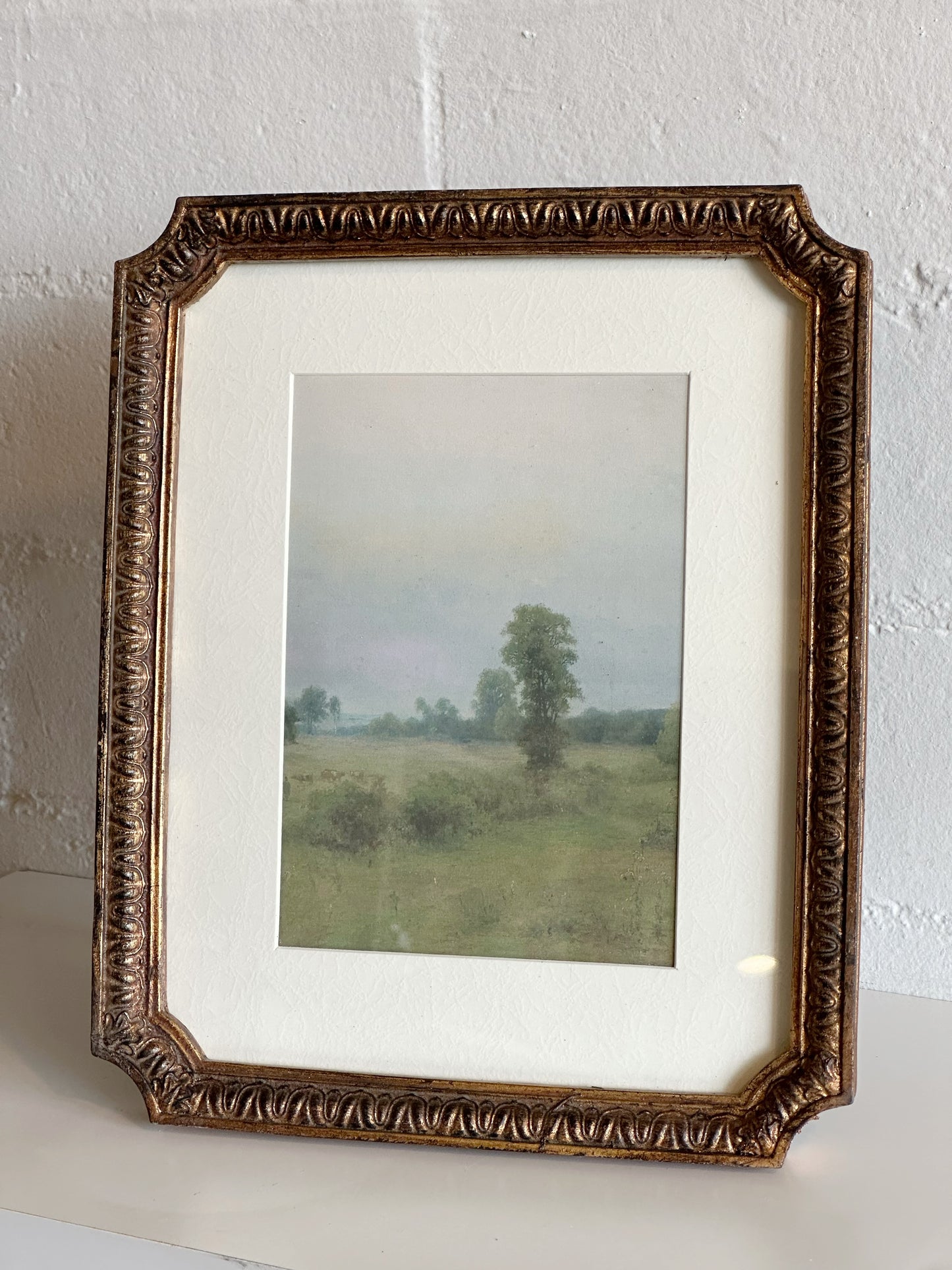 Antique Gold 8x10 Frame