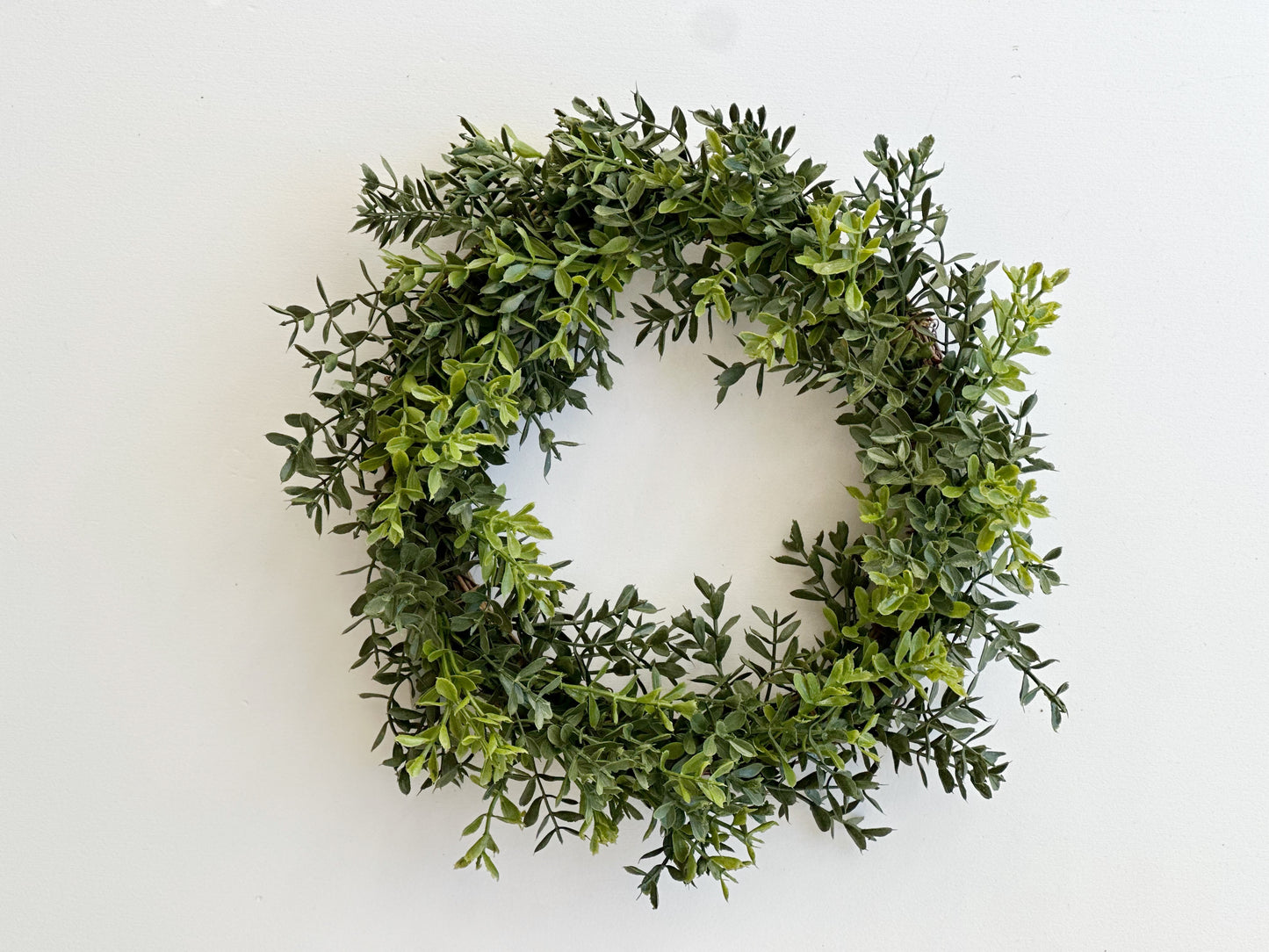 New England Boxwood Candle Ring/Wreath 12"