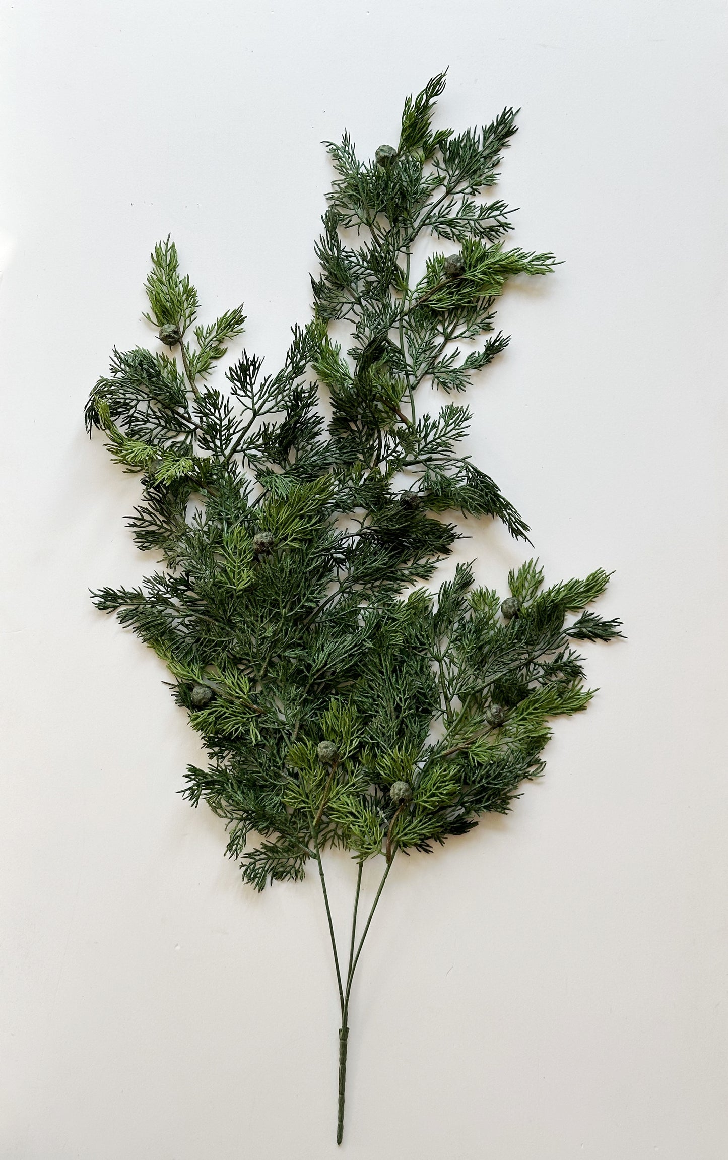 Juniper Hanging Spray