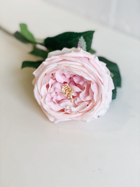 LIGHT PINK REAL TOUCH AUSTIN ROSE STEM