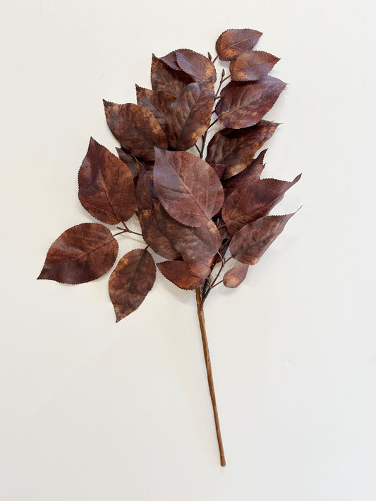 Salal Leaf Spray