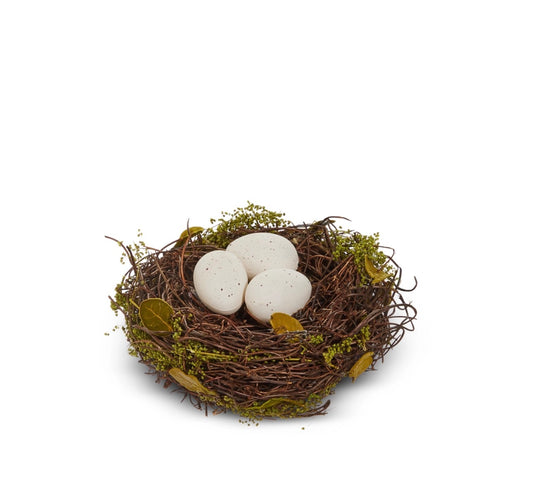 Eggs in Nest