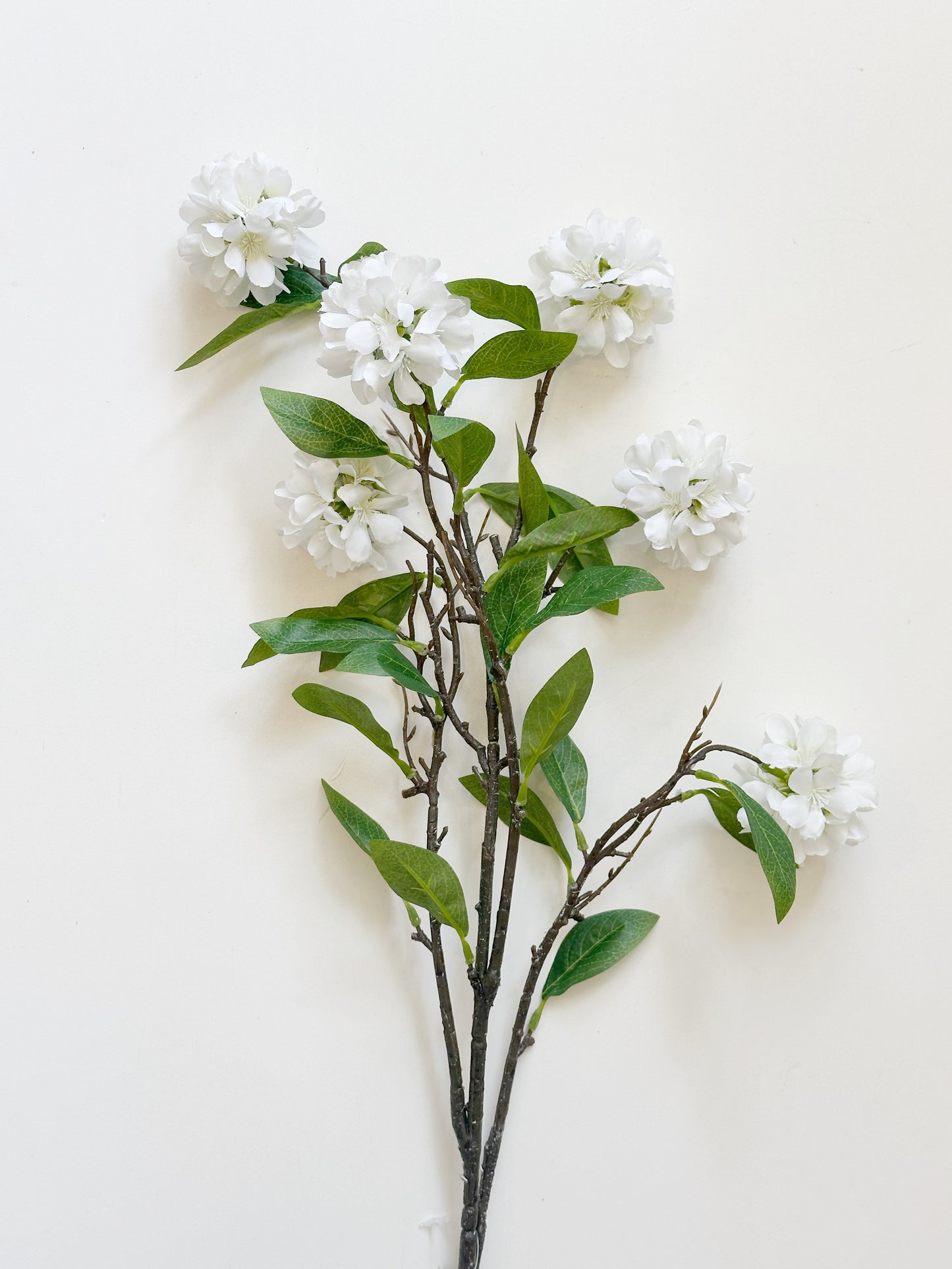 White Kerria Spray
