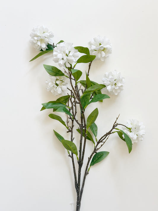 White Kerria Spray