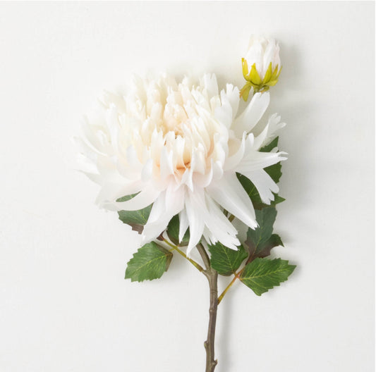 SOFT CREAM DAHLIA SPRAY STEM