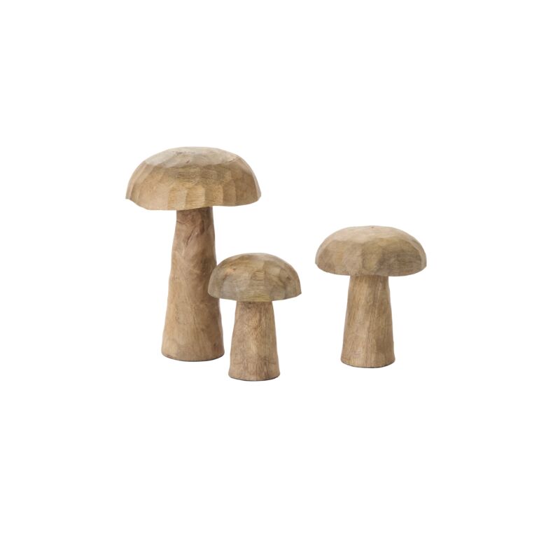 Porcini Mushroom