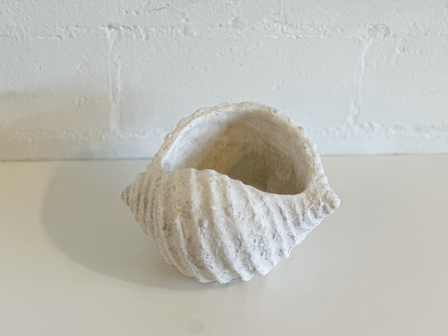 WHITE WEATHERED CONCH SHELL