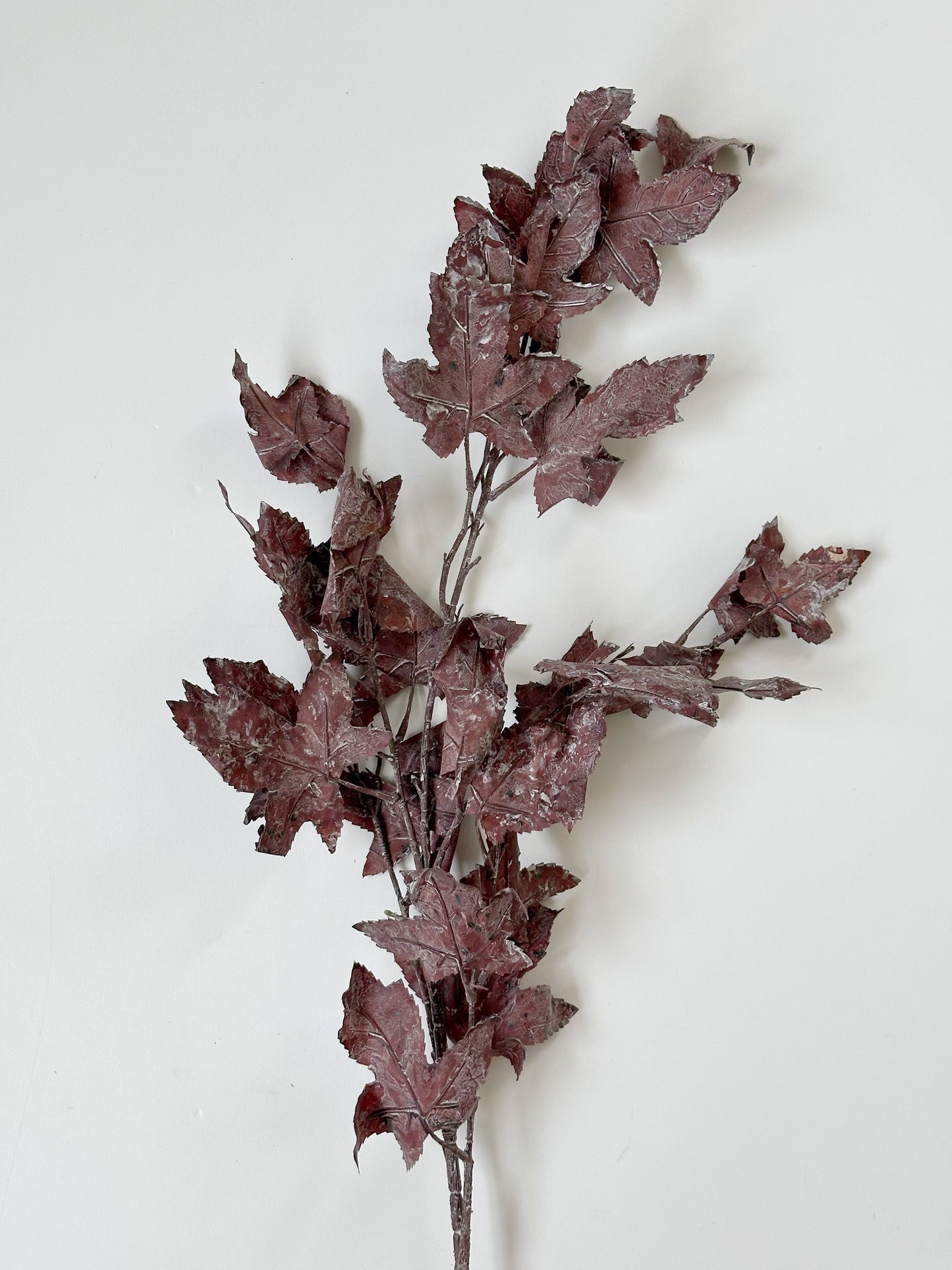 Burgundy Maple Leaf Stem