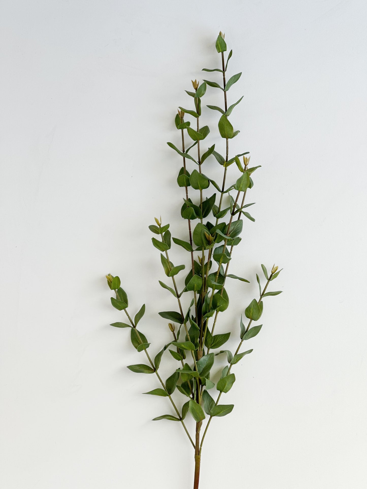 Mini Eucalyptus Spray Stem