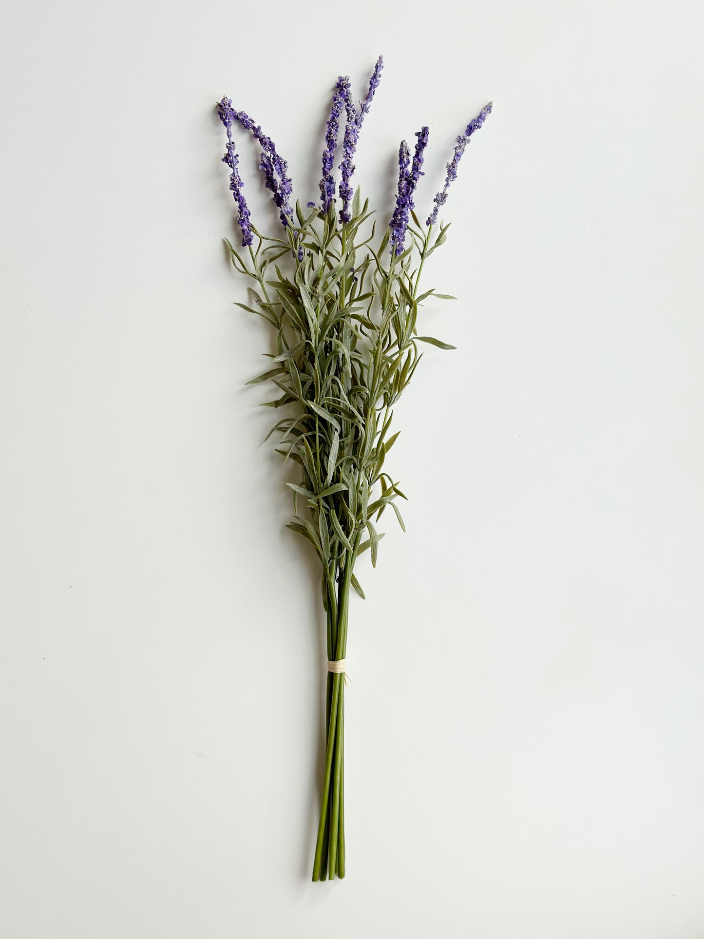 LAVENDER BUNDLE