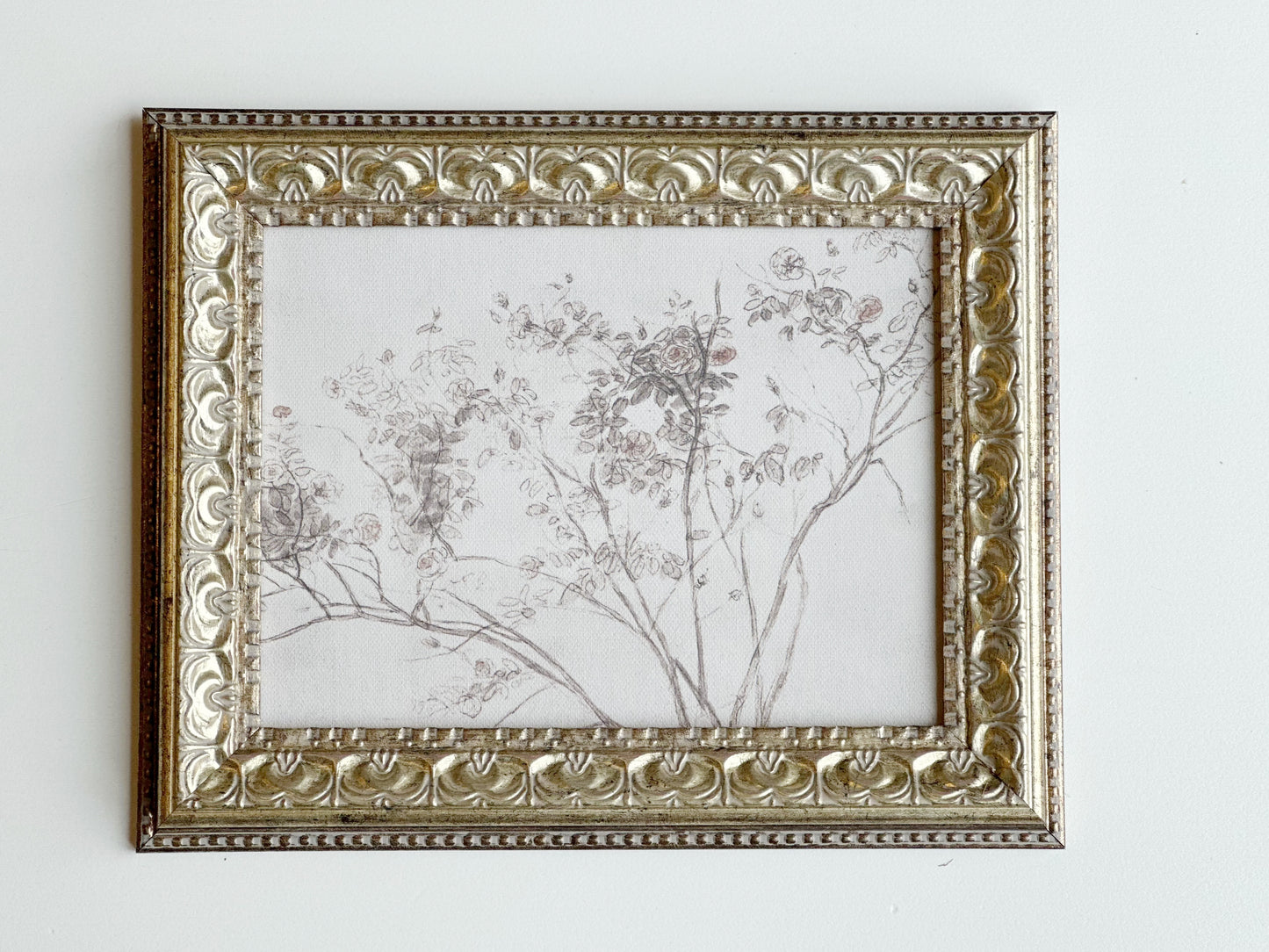 Rose Bush Tree 8x6 Framed Print