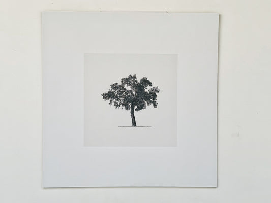 Tree 16x16 Artist Board