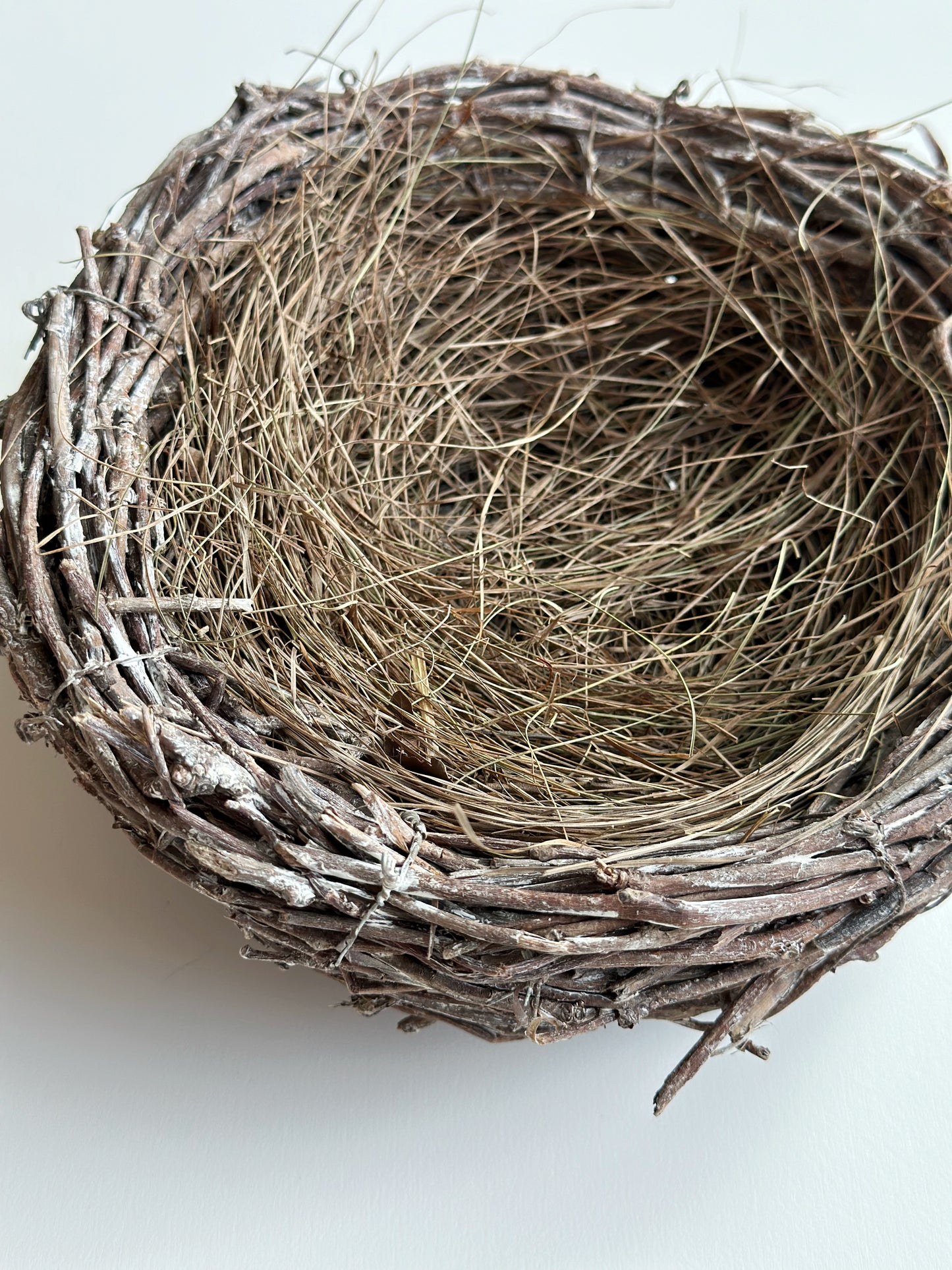 BIRD'S NEST