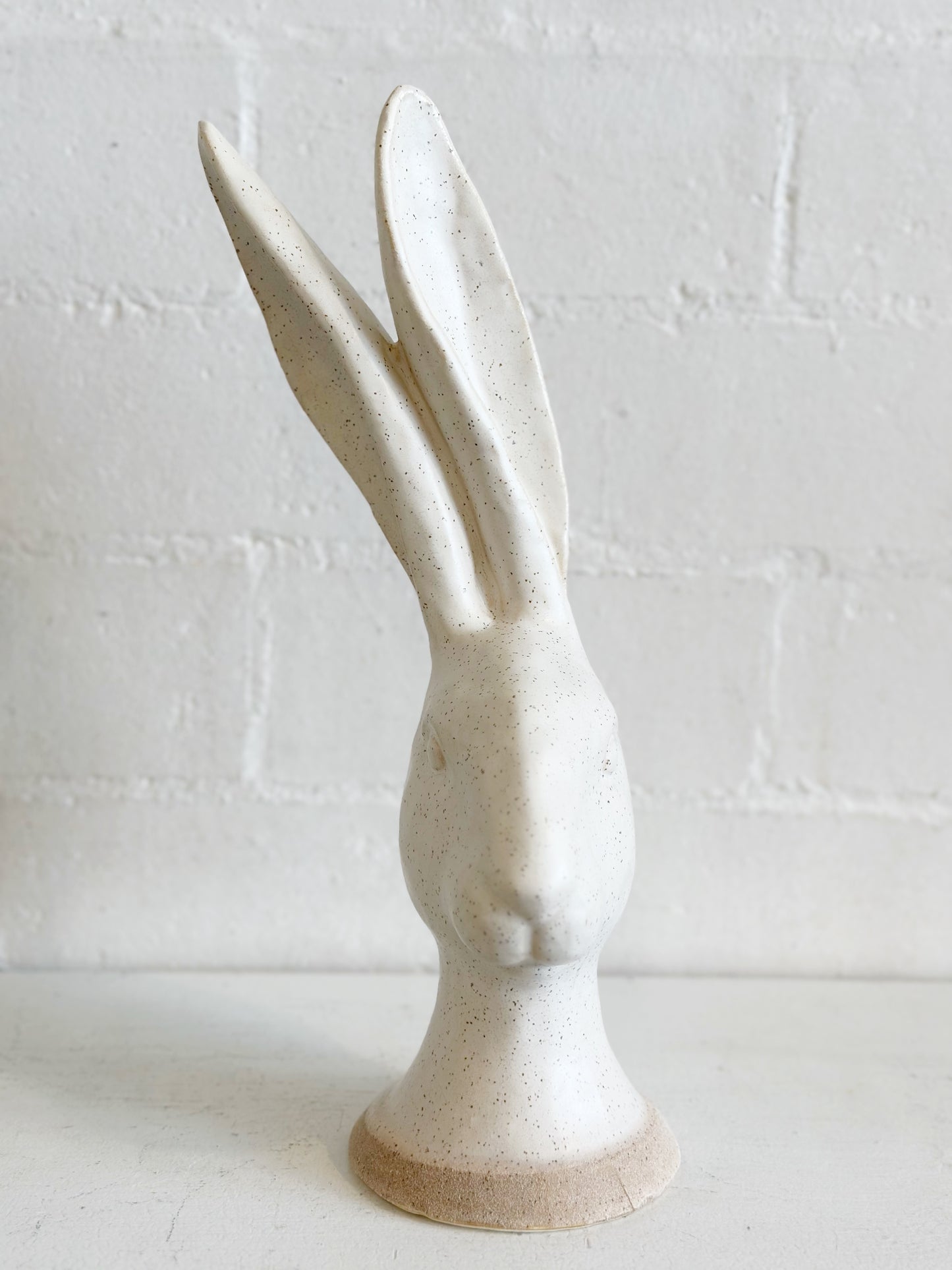Hare Bunny Head
