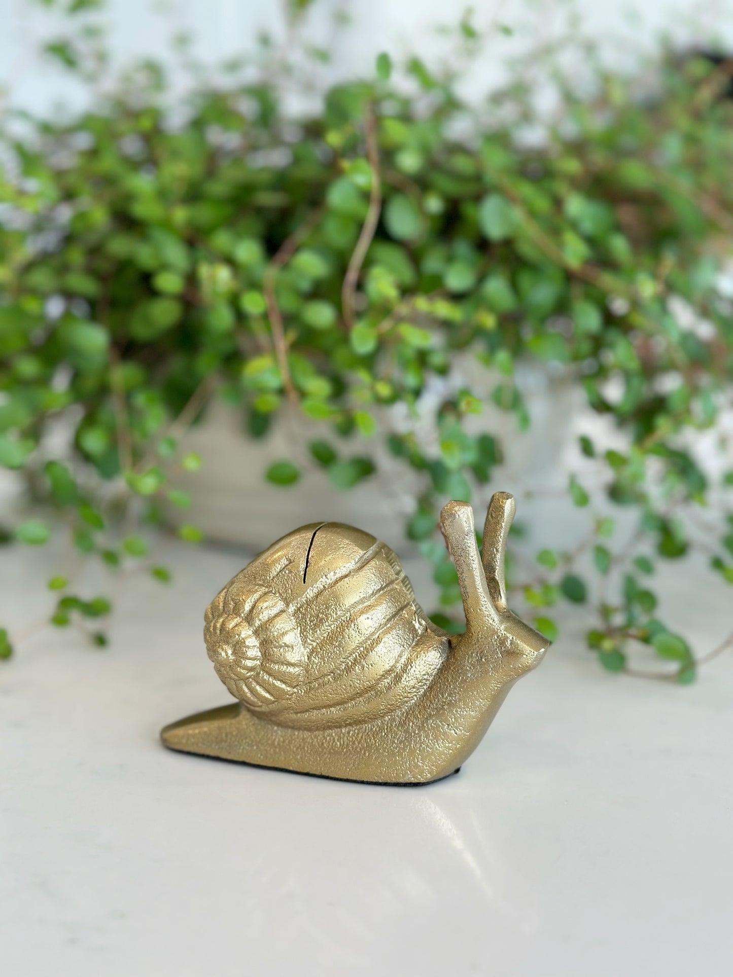 Golden Snail Card Holder