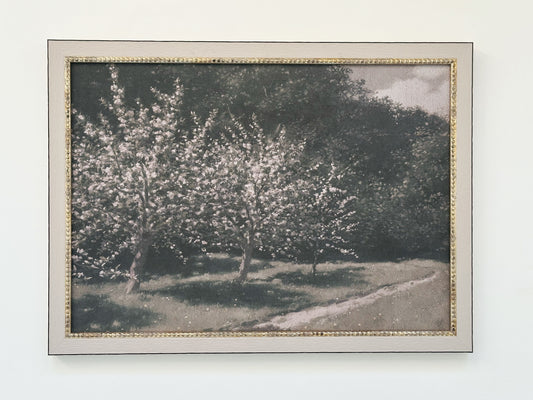 Moody Bloosom Trees 14x10 Framed Print