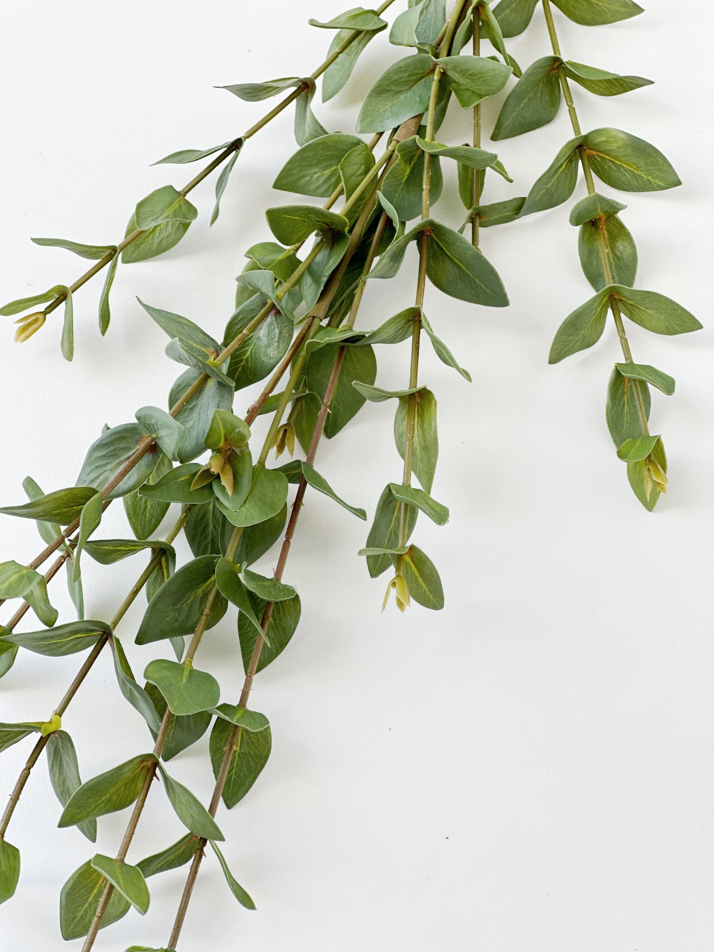 Mini Eucalyptus Spray Stem