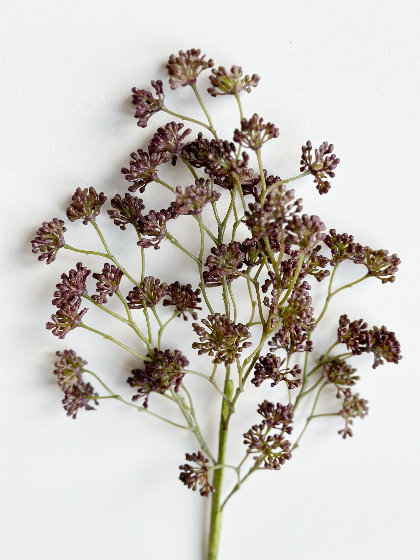 SOFT PLUM SEDUM SPRAY