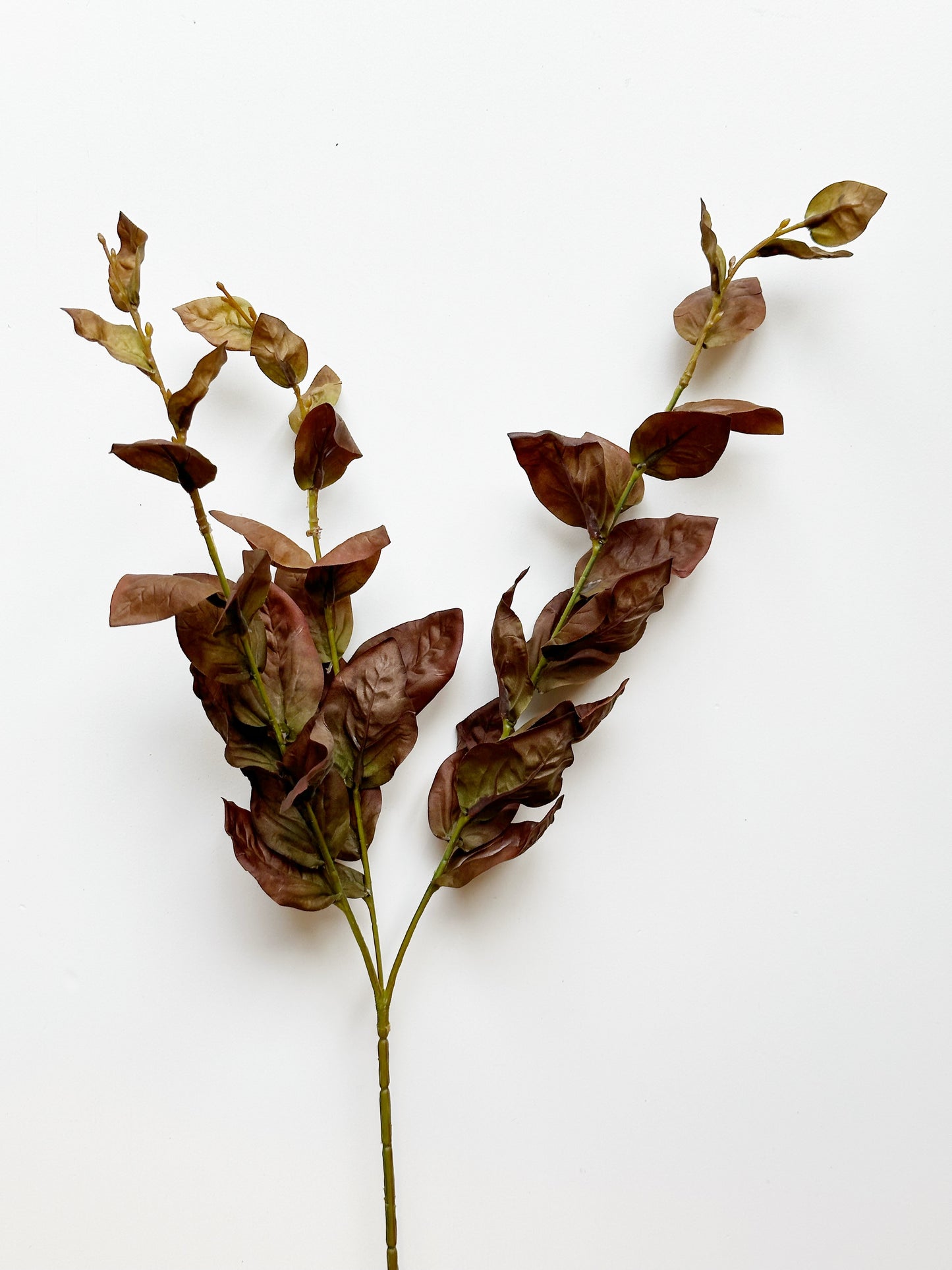 TWO-TONE BASIL LEAVES SPRAY