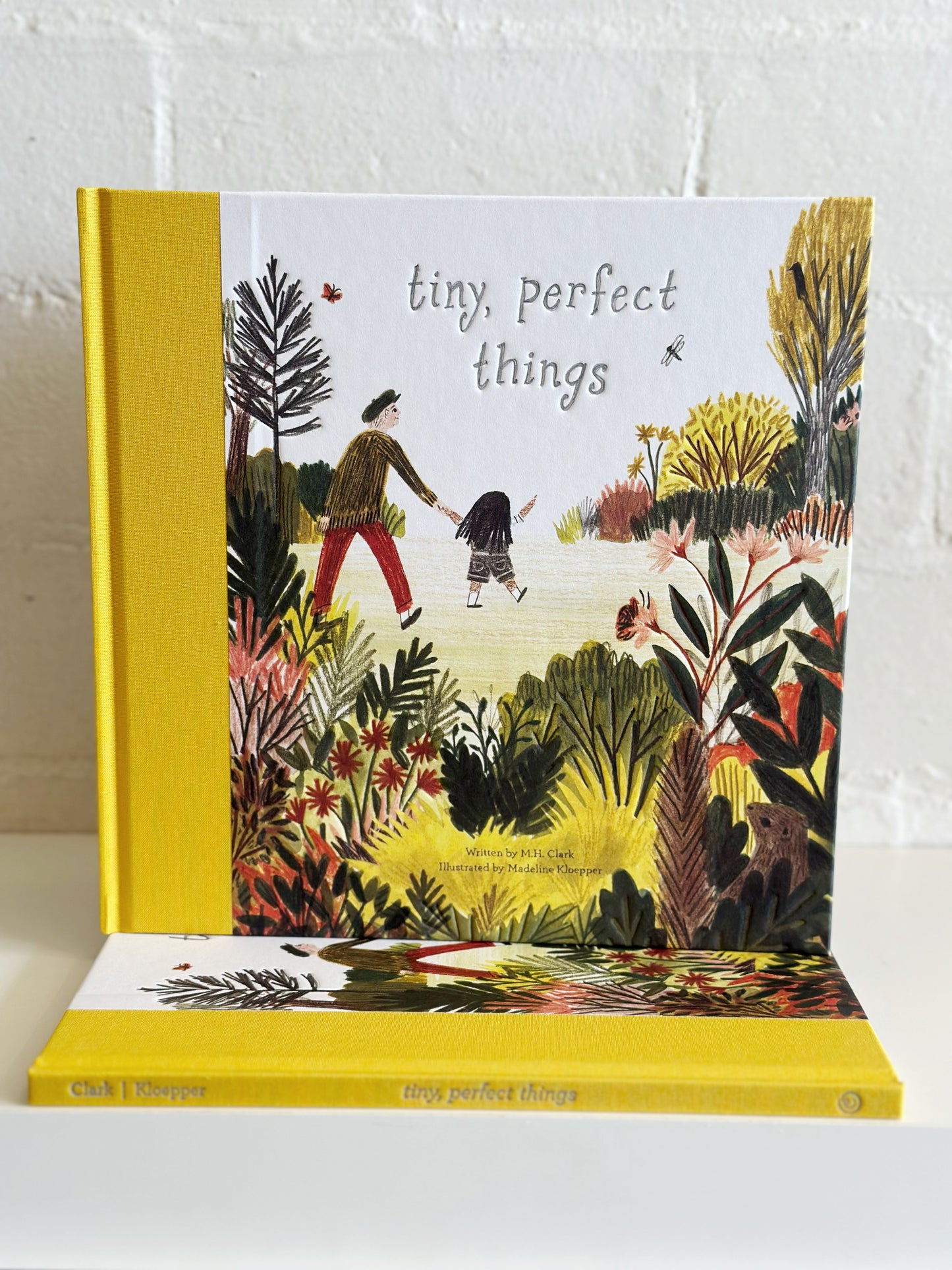 Tiny, Perfect Things - Book