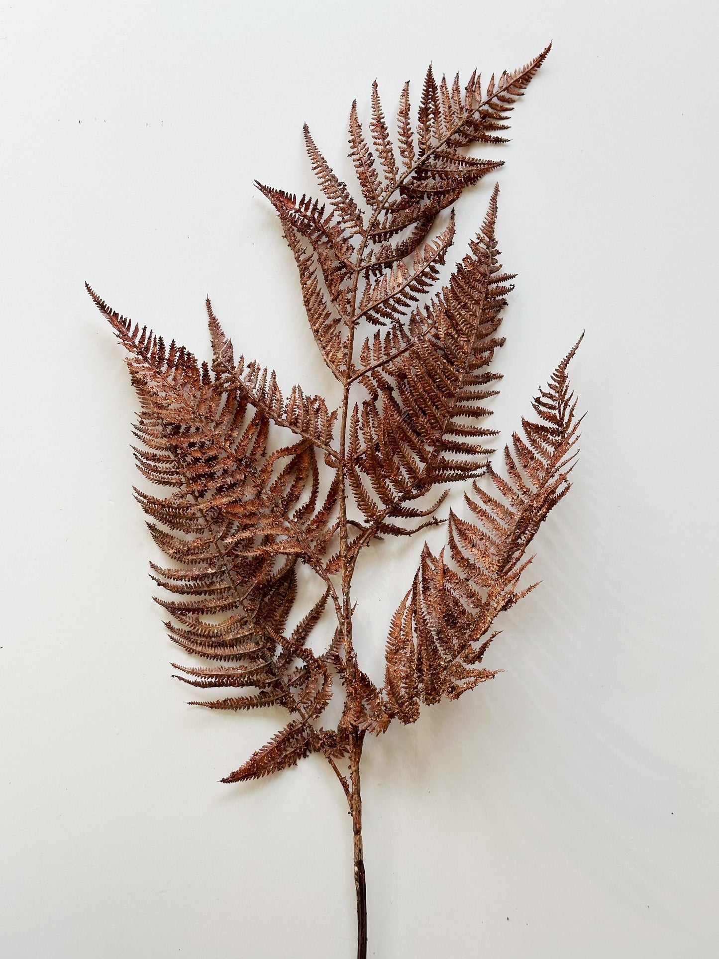 Fall Fern Spray Stem