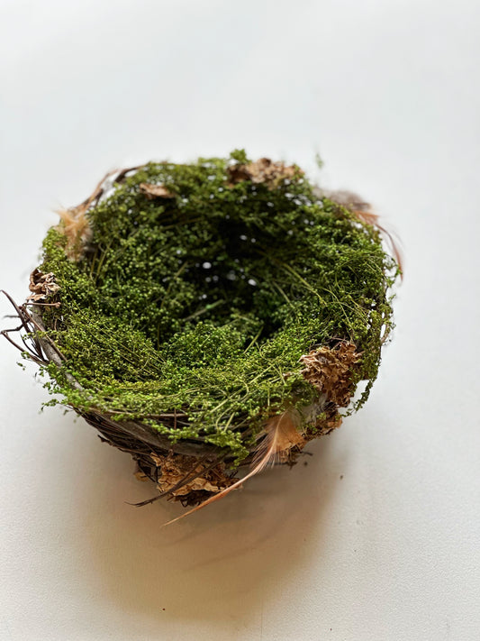Nest