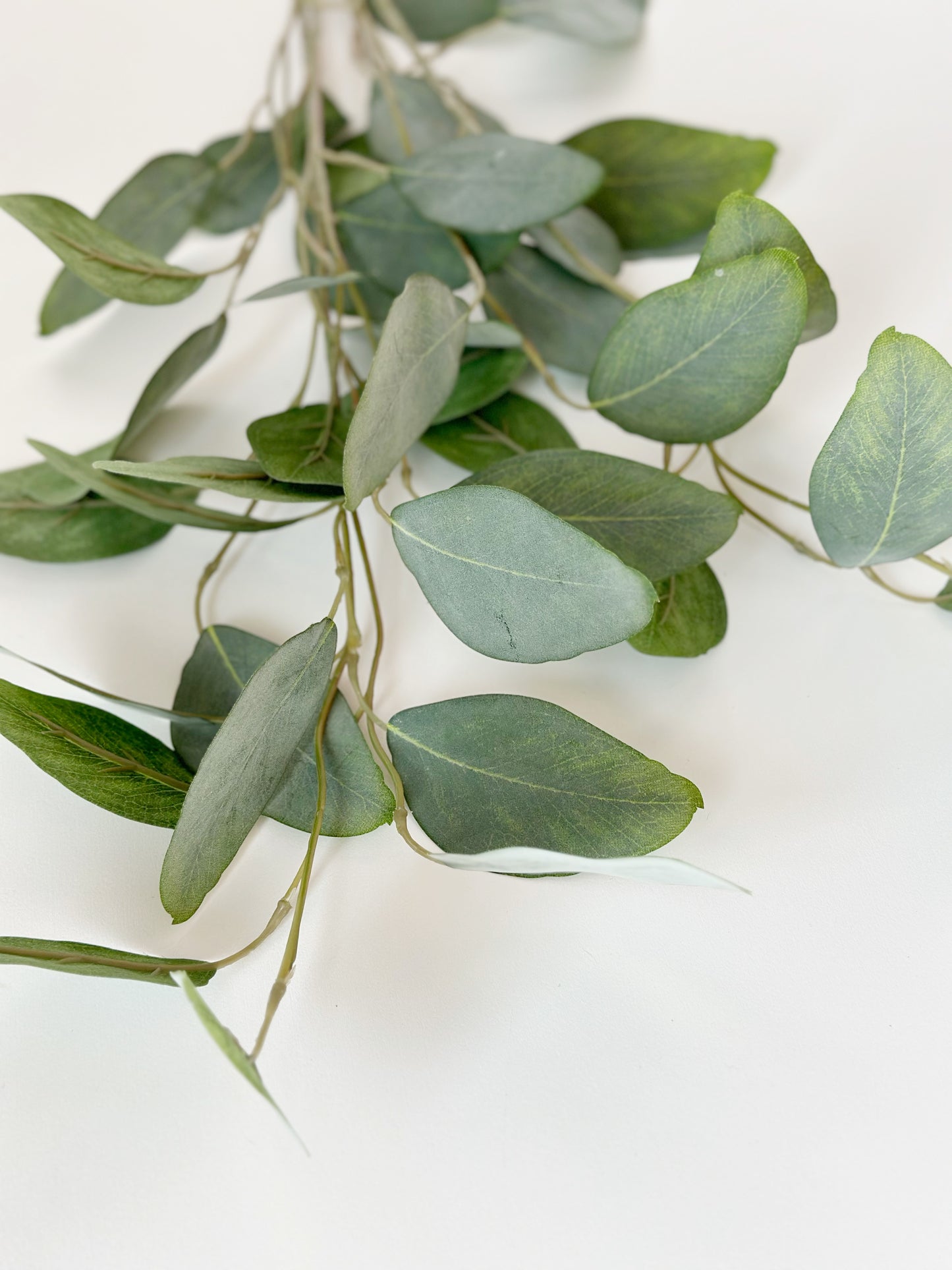 EUCALYPTUS LEAF SPRAY