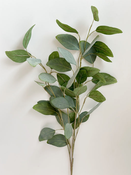 EUCALYPTUS LEAF SPRAY