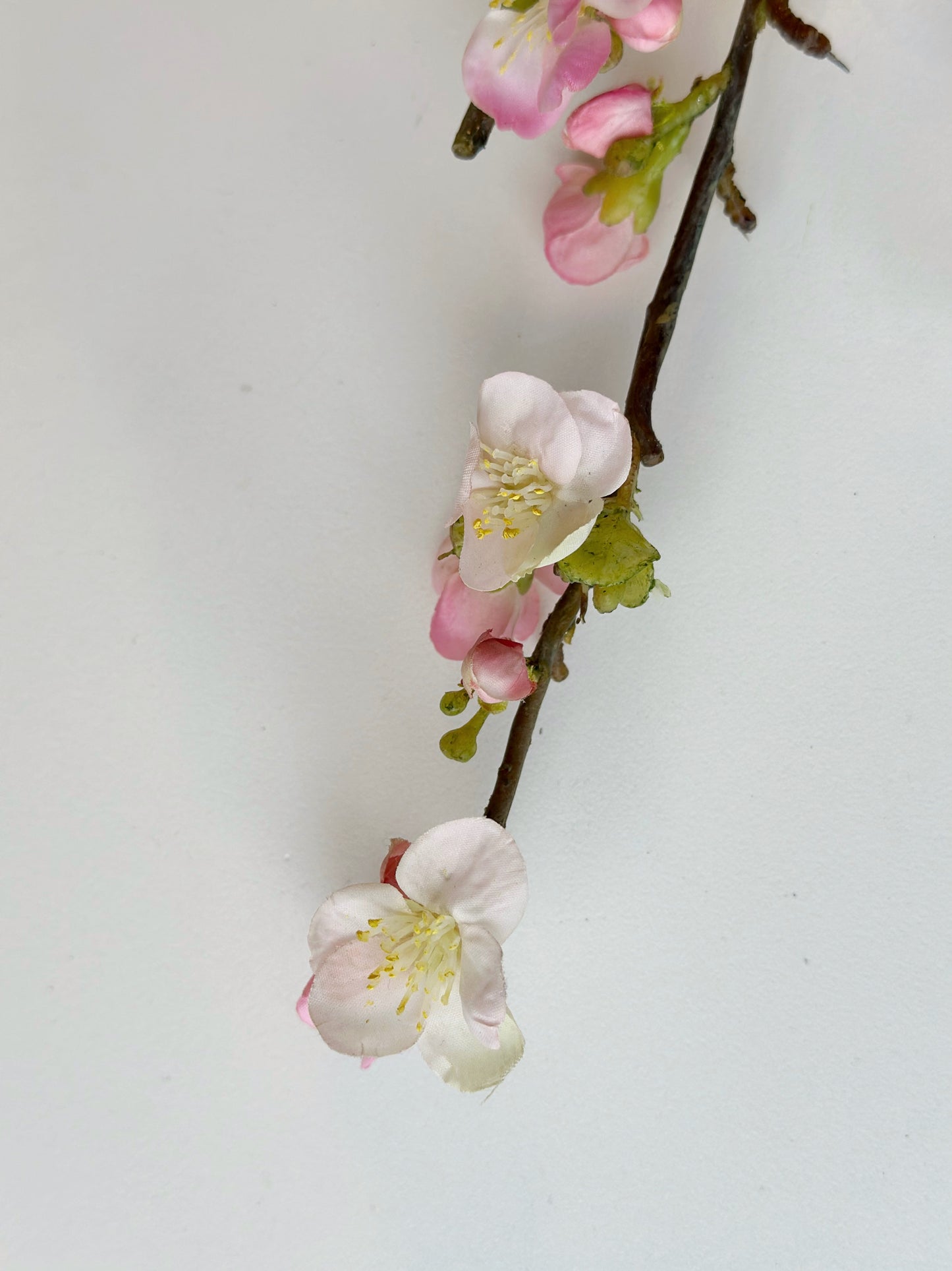 Cherry Blossom Stem