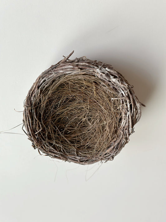 BIRD'S NEST