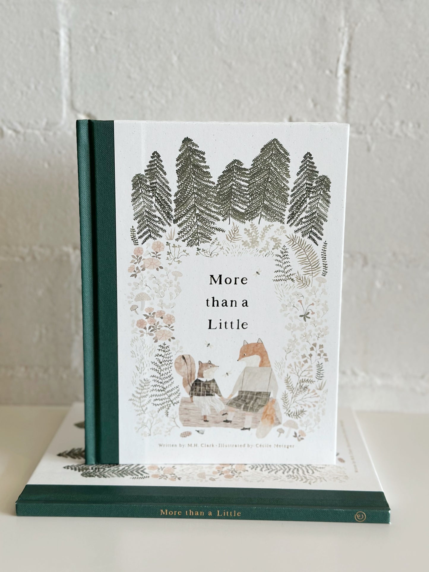 More than a little - Book