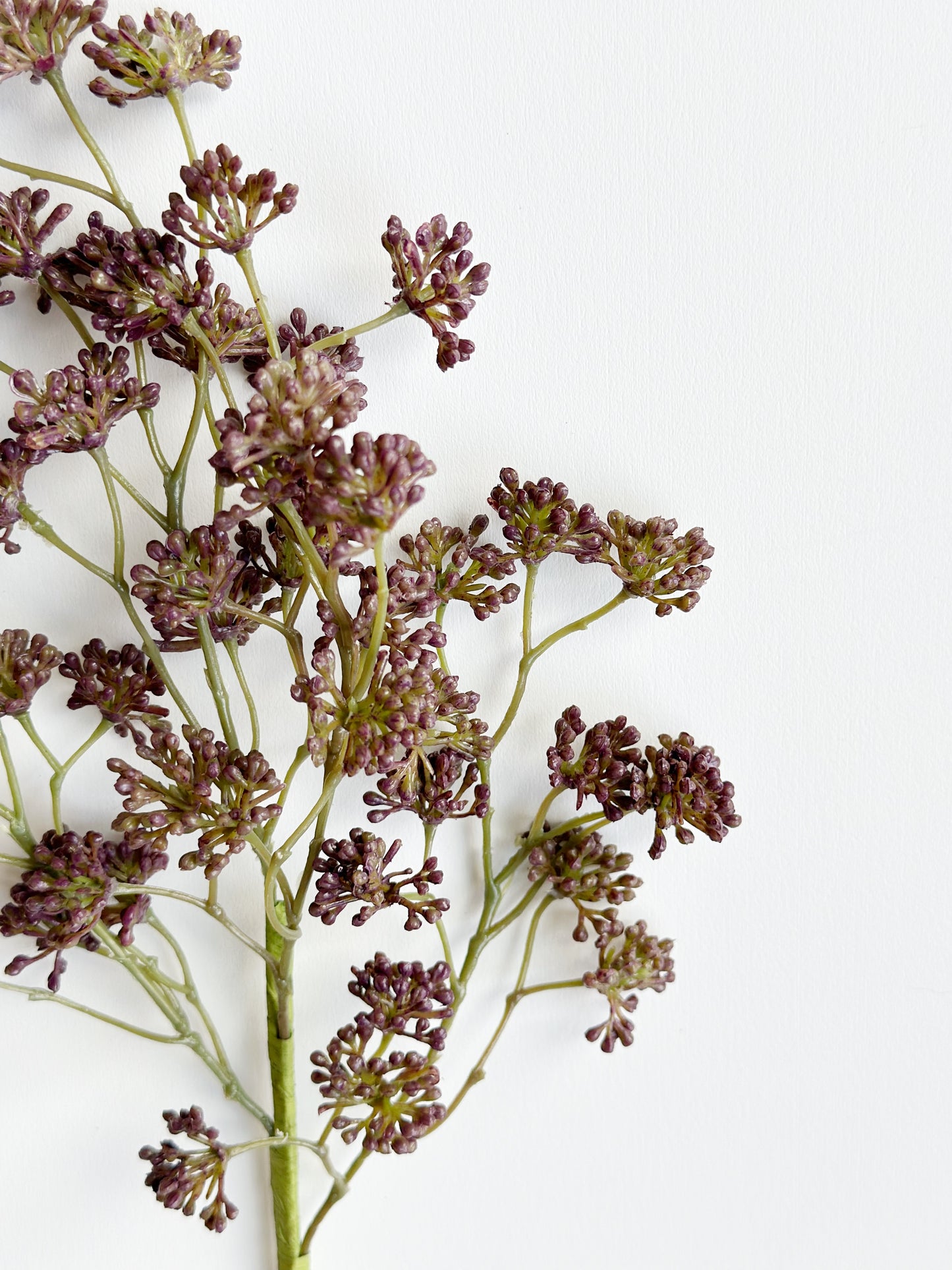 SOFT PLUM SEDUM SPRAY