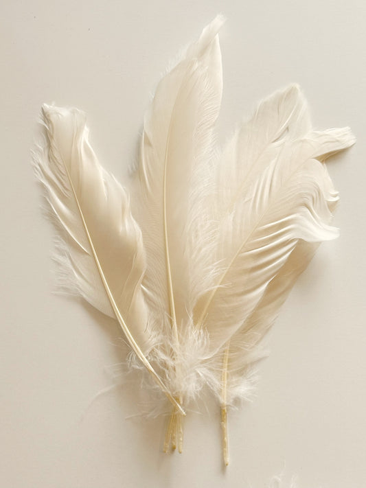 Goose Satinettes Dyed Feather - Ivory