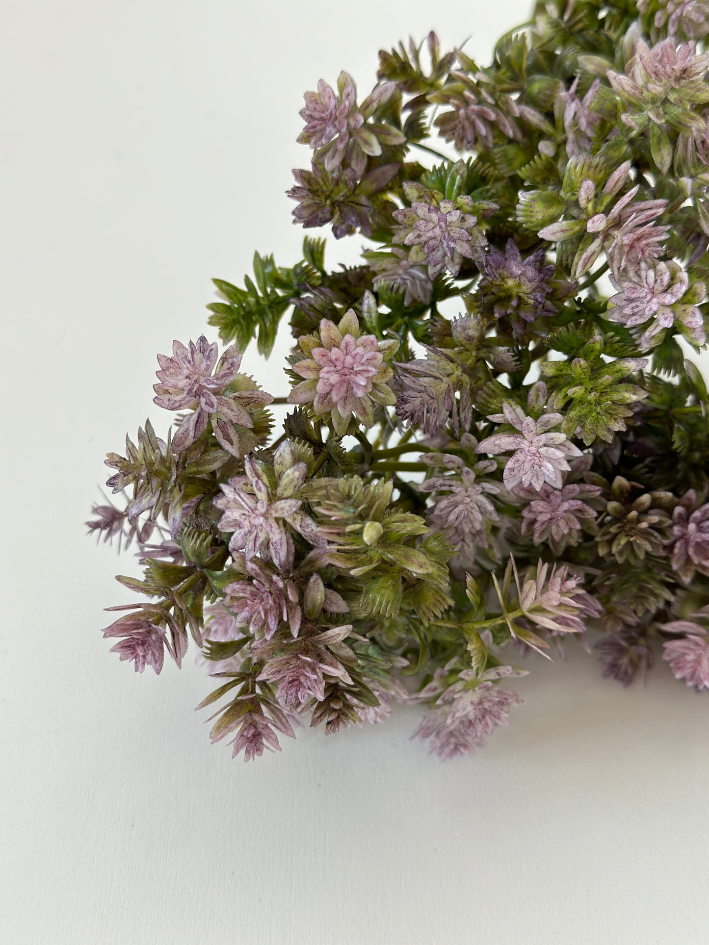 PURPLE SEDUM SPRAY