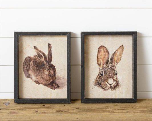 FRAMED PRINTS - RABBITS