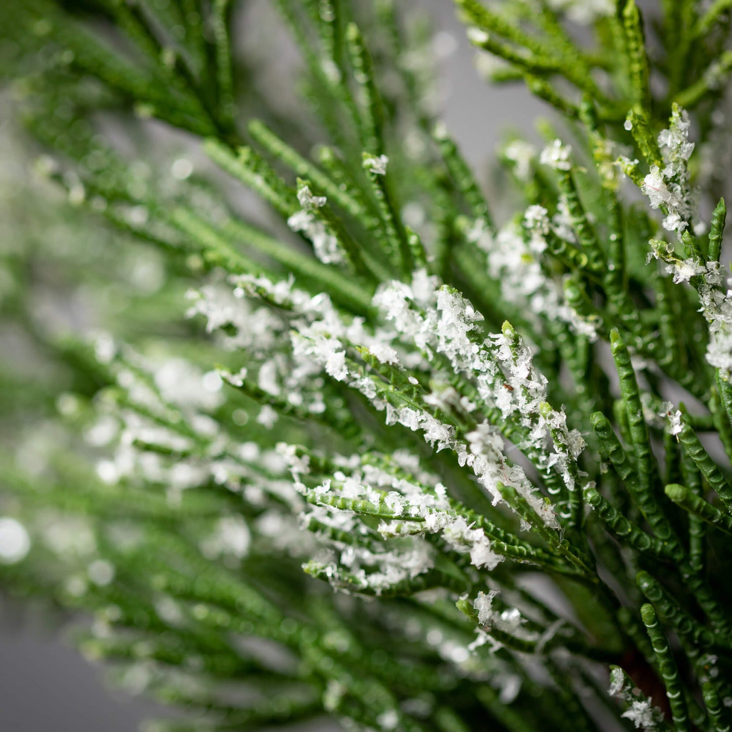 FROSTED GREEN CEDAR WREATH