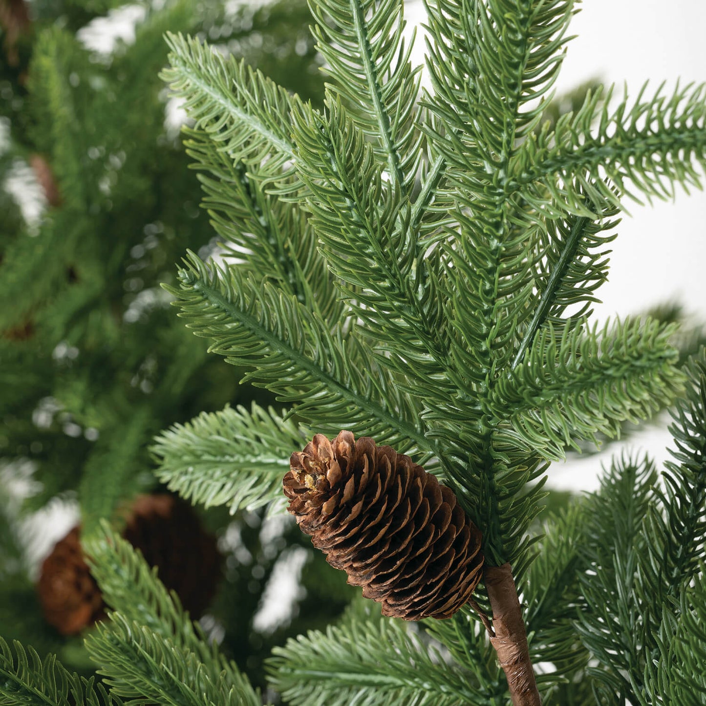 PINECONE PINE TREE