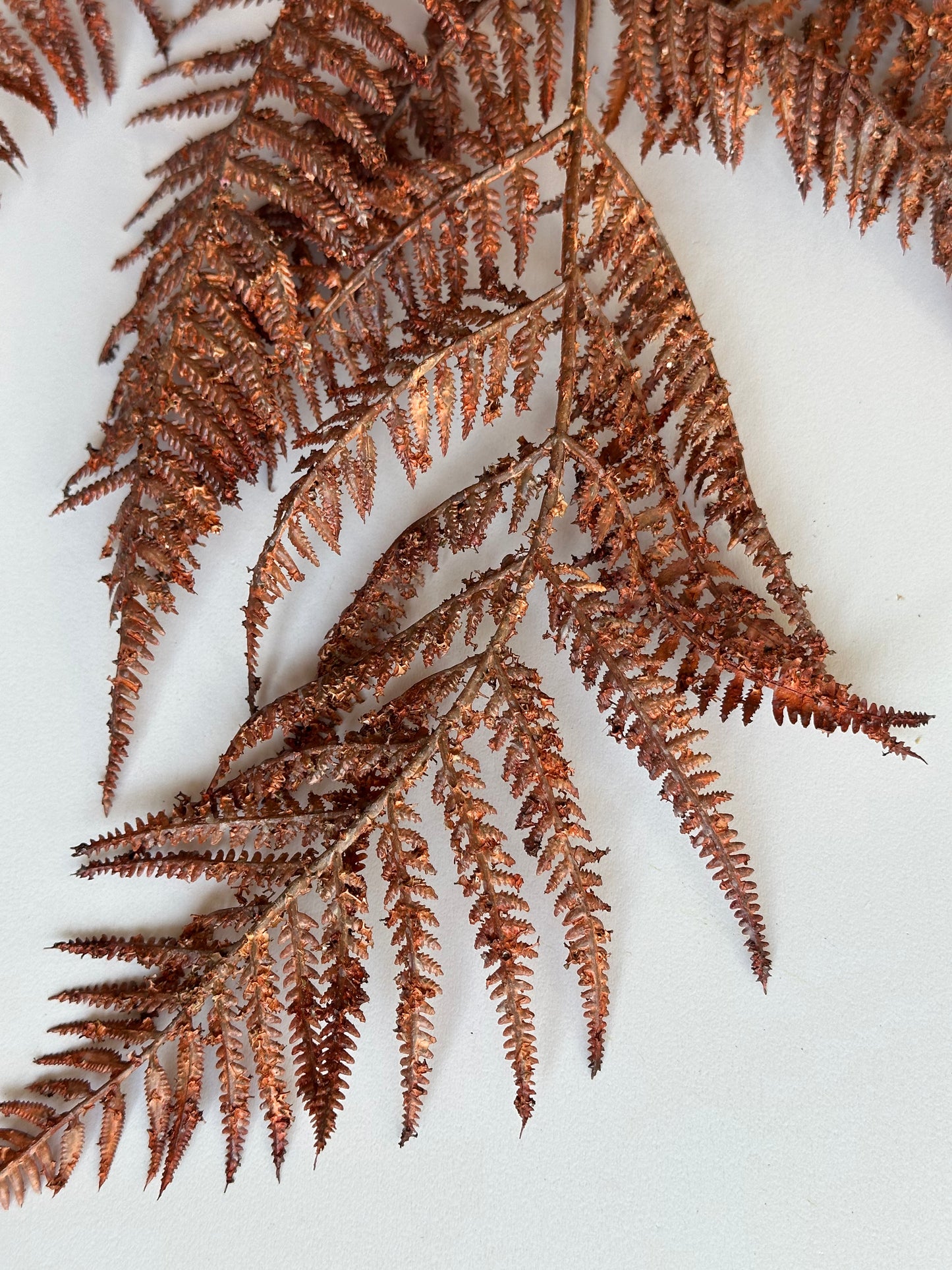 Fall Fern Spray Stem