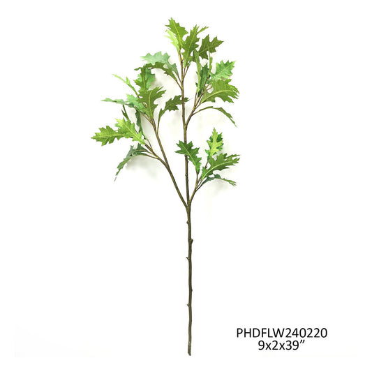 Green Oak Branch