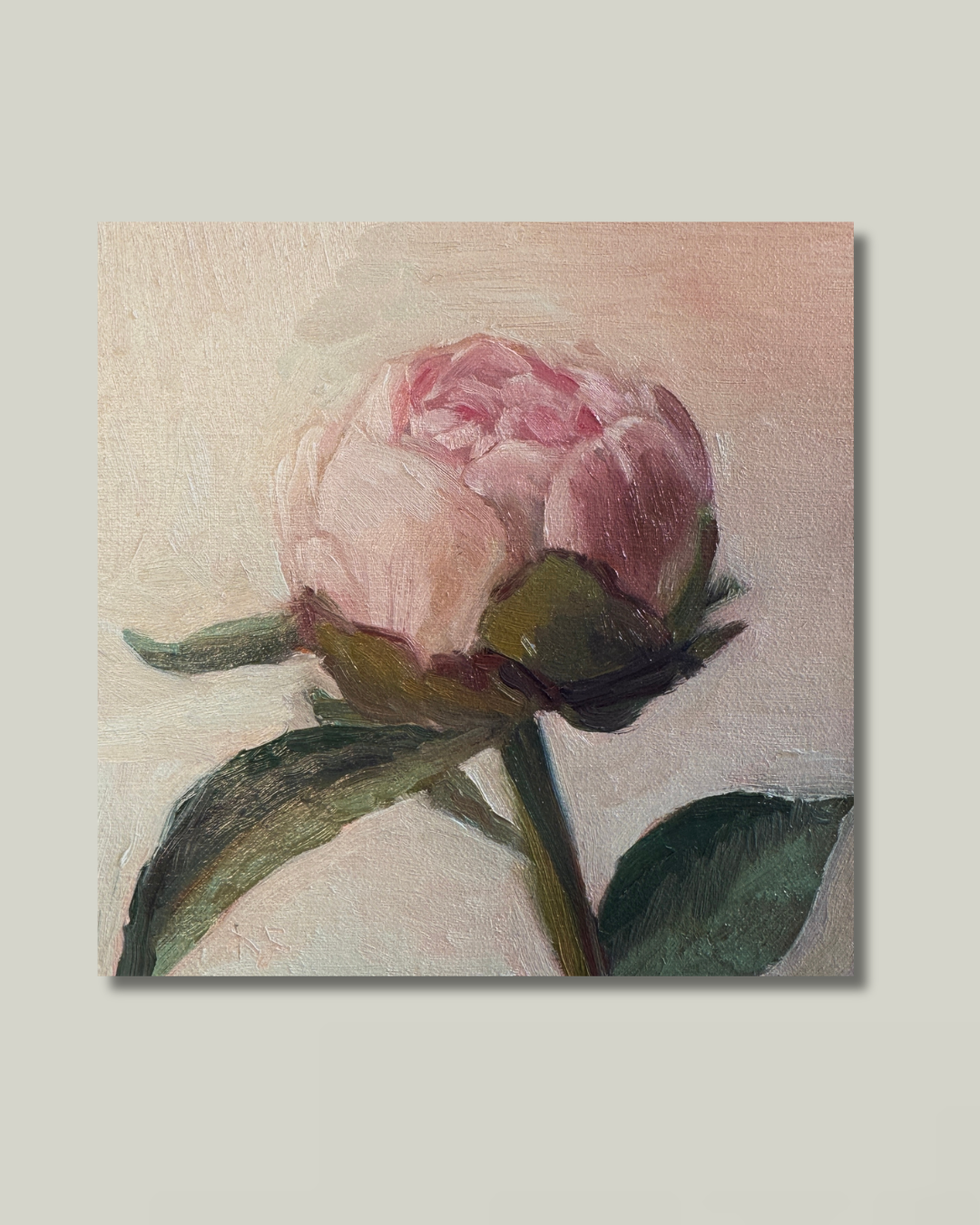 "A Simple Peony": 5x5 Print