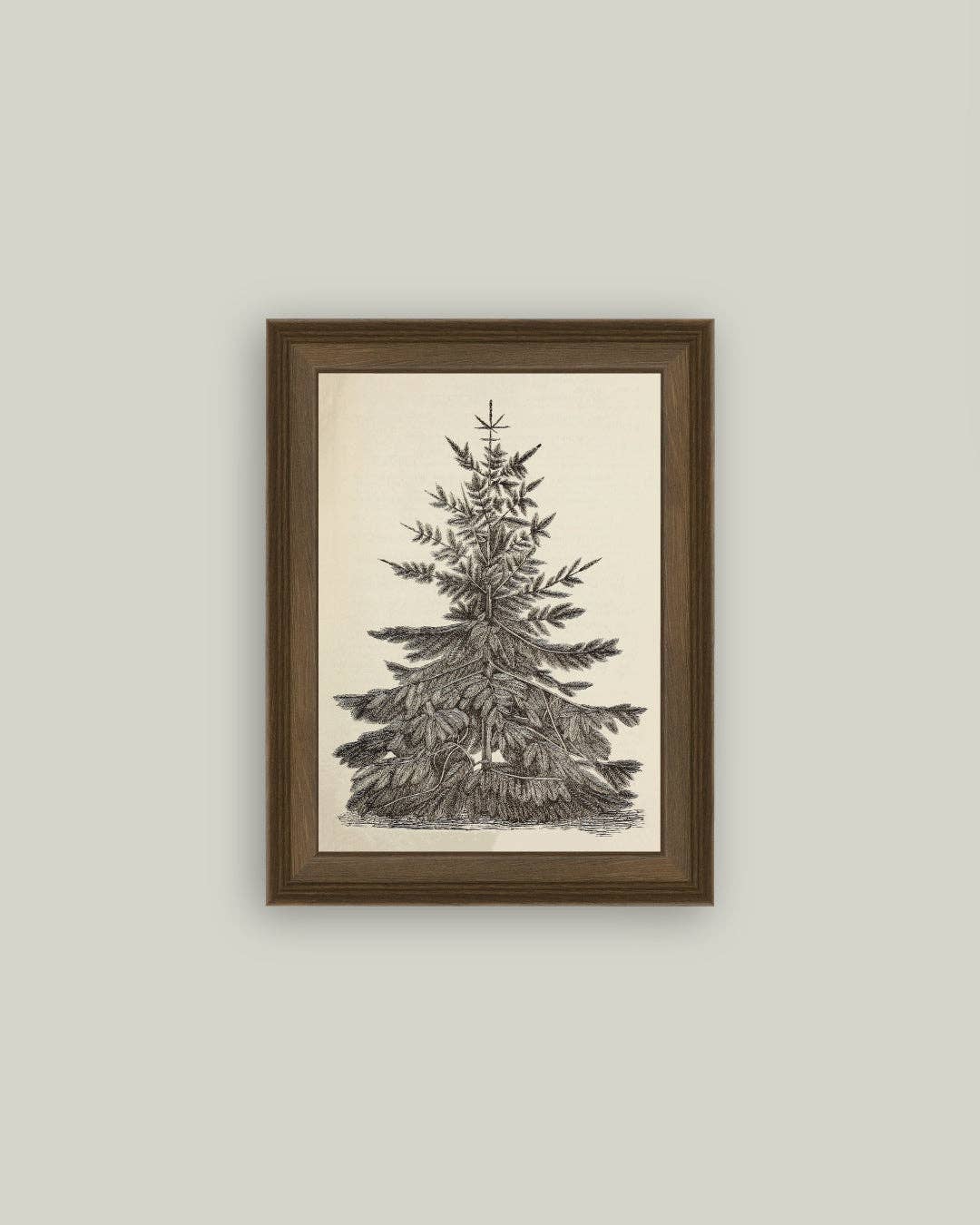 Vintage Pine Tree: 12x16
