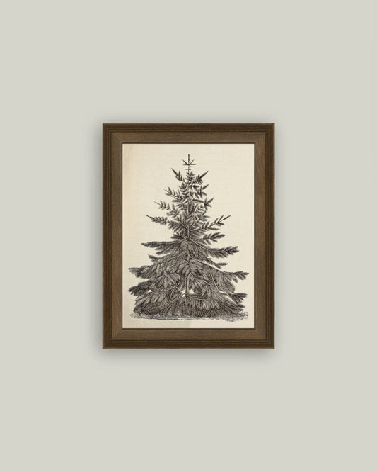 Vintage Pine Tree: 12x16