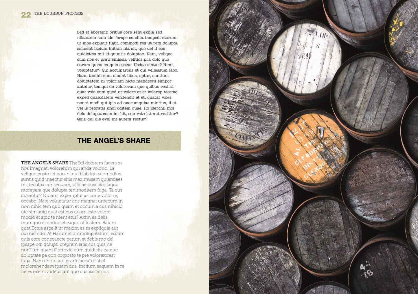 The Bourbon Bible: Hardcover
