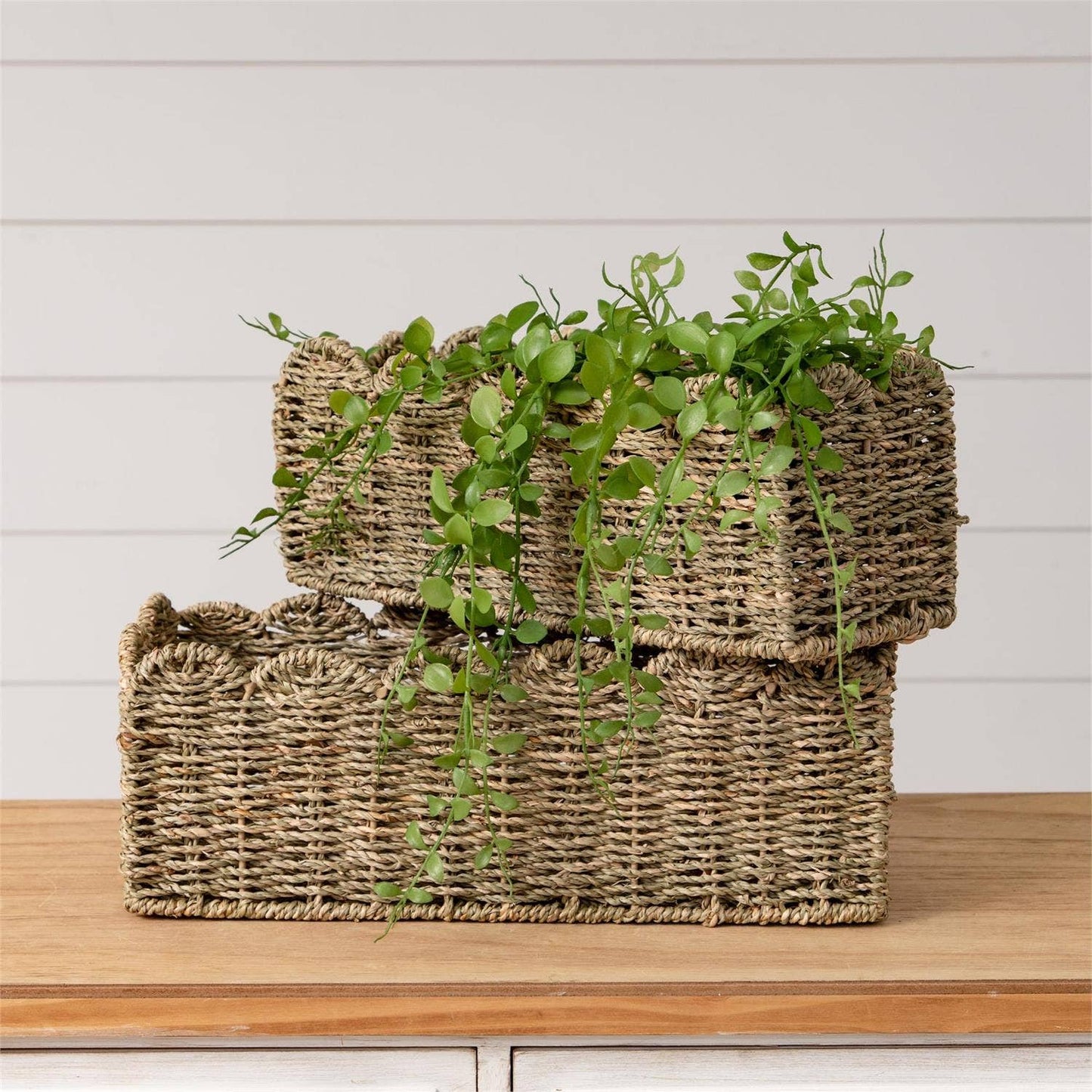 Scalloped Edge Seagrass Baskets