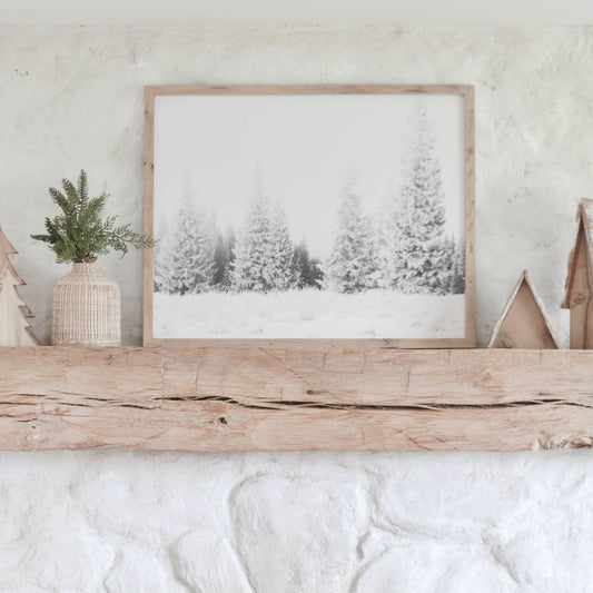 Winter Trees Framed Art | Made in the USA : Driftwood / 16x20