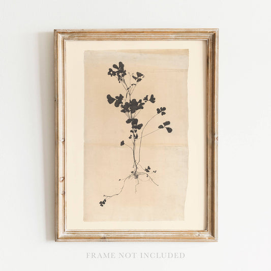 Grace Christian Wall Art Print Vintage Scripture Gift Decor : 5x7 Heirloom Print (Unframed)
