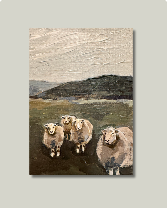 "Field of Sheep" Print: 5x7