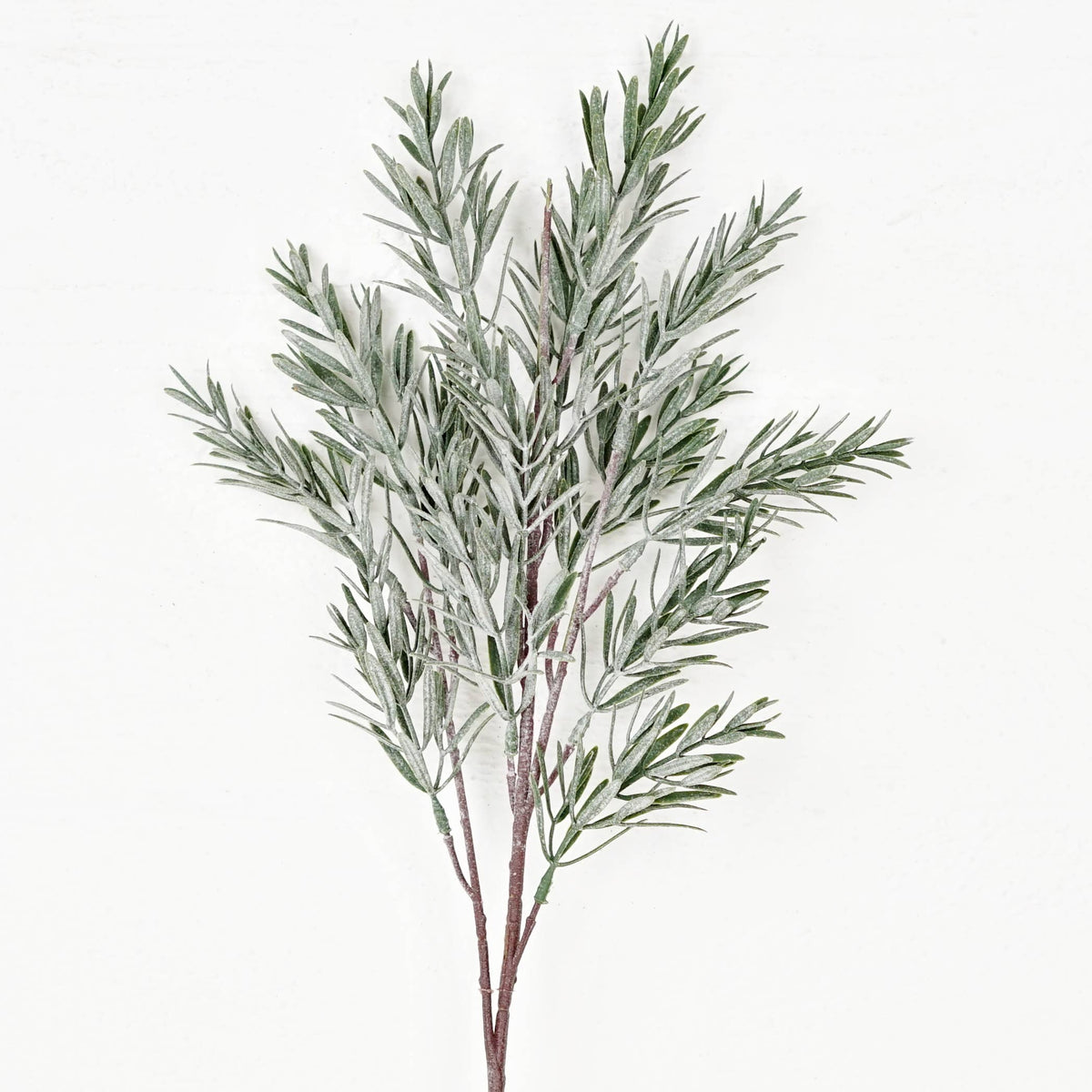 24in Spray-Frosted Rosemary pine spray